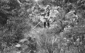 Supporting Friends of Table Mountain with Every Pint