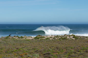 Protect The West Coast