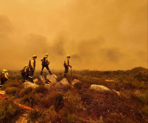 PINT FOR A PURPOSE: VOLUNTEER WILDFIRE SERVICES